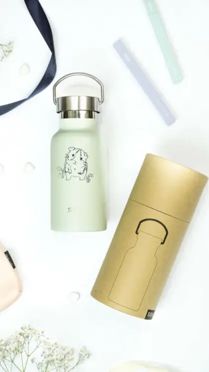 Vandens butelis / termosas 350 ml nerūdijančio plieno